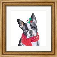 Framed 'Holiday Dog II' border=