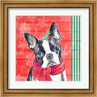 Framed 'Holiday Puppy II' border=