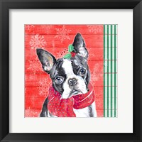 Framed Holiday Puppy II