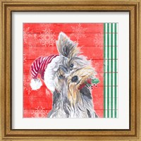 Framed 'Holiday Puppy III' border=