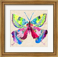 Framed 'Brilliant Butterfly I' border=