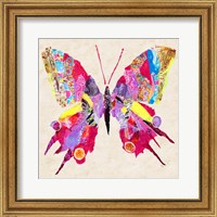 Framed 'Brilliant Butterfly II' border=