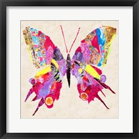 Framed 'Brilliant Butterfly II' border=