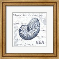 Framed 'Indigo Shell II' border=