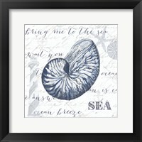 Indigo Shell II Framed Print