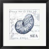 Framed 'Indigo Shell II' border=