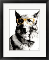 Framed Cool Dog