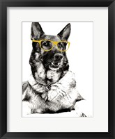 Framed Gold Shades