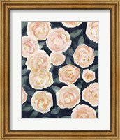 Framed 'Peach Petals I' border=