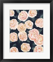 Framed 'Peach Petals II' border=