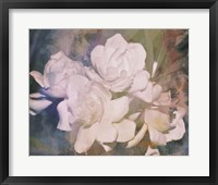 Blush Gardenia Beauty I Framed Print