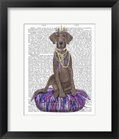 Framed Weimaraner on Purple Cushion