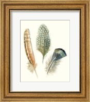 Framed 'Watercolor Feathers I' border=