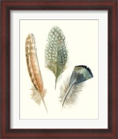 Framed 'Watercolor Feathers I' border=