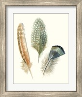 Framed 'Watercolor Feathers I' border=