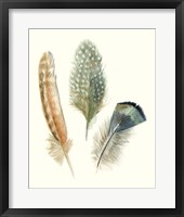 Watercolor Feathers I Framed Print