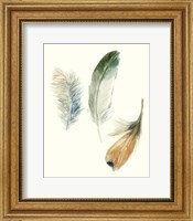 Framed 'Watercolor Feathers II' border=