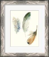 Framed 'Watercolor Feathers II' border=