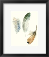 Framed 'Watercolor Feathers II' border=