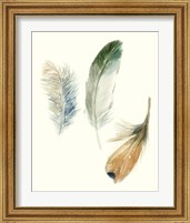 Framed 'Watercolor Feathers II' border=