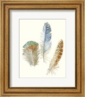 Framed 'Watercolor Feathers III' border=