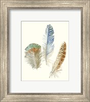 Framed 'Watercolor Feathers III' border=