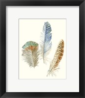 Framed 'Watercolor Feathers III' border=