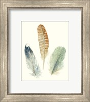 Framed 'Watercolor Feathers IV' border=