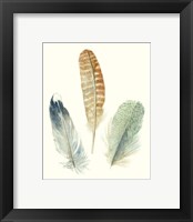 Framed 'Watercolor Feathers IV' border=