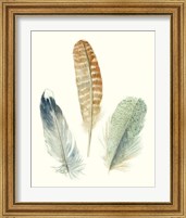 Framed 'Watercolor Feathers IV' border=