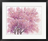 Framed Pink Cherry Blossom Tree I