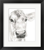 Framed 'Farm Faces I' border=