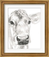 Framed 'Farm Faces I' border=