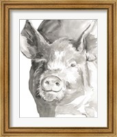 Framed 'Farm Faces III' border=