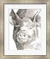 Framed 'Farm Faces III' border=