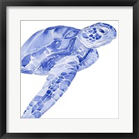 Ultramarine Sea Turtle II Framed Print