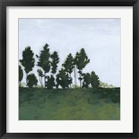 Framed 'Northern Coppice I' border=