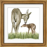 Framed 'Woodland Babes II' border=