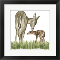 Framed 'Woodland Babes II' border=