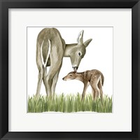 Framed 'Woodland Babes II' border=