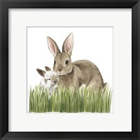 Framed 'Woodland Babes III' border=