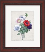 Framed 'Bouquet II' border=