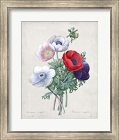 Framed 'Bouquet II' border=