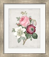 Framed 'Bouquet IV' border=