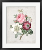 Bouquet IV Framed Print