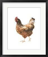 Autumn Chicken IV Framed Print