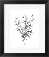 Framed 'Paynes Grey Botanicals I' border=