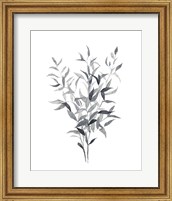 Framed 'Paynes Grey Botanicals I' border=