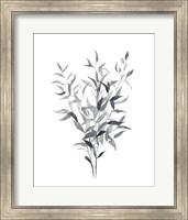 Framed 'Paynes Grey Botanicals I' border=