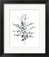 Framed 'Paynes Grey Botanicals II' border=